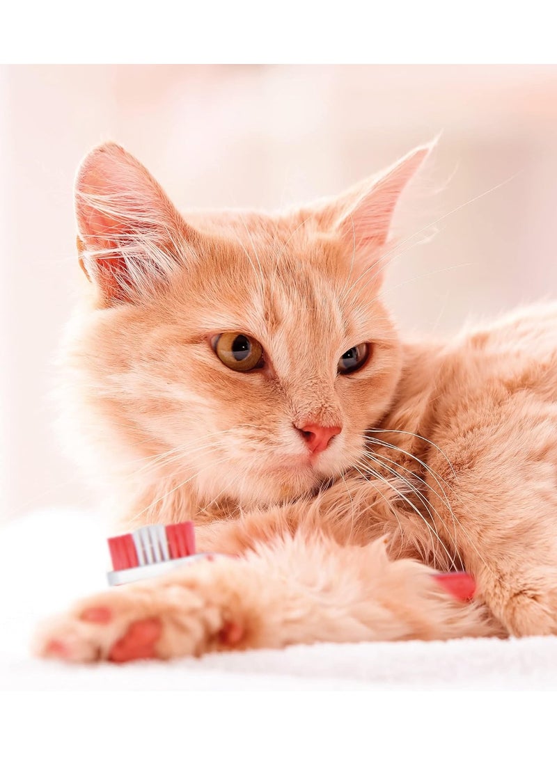 beaphar Advanced Dual Enzyme Toothpaste Dental Care for Dogs and Cats Helps Prevent Bad Breath and Combat Plaque Liver Flavoured 100g Tube - Image 5