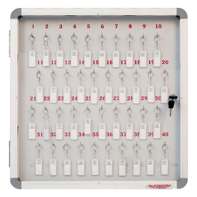ALKOSIGN Key Cabinet for 40 Key-Chains with Laminated Back and Steel Fitted Hooks |Key Manager, Key Storage, Key Box, Lockable Key Holder, Key Organizer for Industrial Use, Factories, Offices, Hotels - Image 1