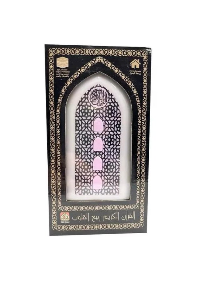 Multi-colored Bluetooth Quran Speaker - Image 3