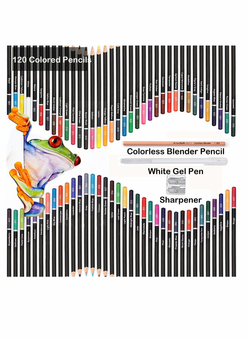 Premium Colored Pencils Set of 120 Colors,Artists Soft Core with Vibrant Color,Ideal for Drawing Sketching Shading,Coloring Pencils for Adults Beginners kids