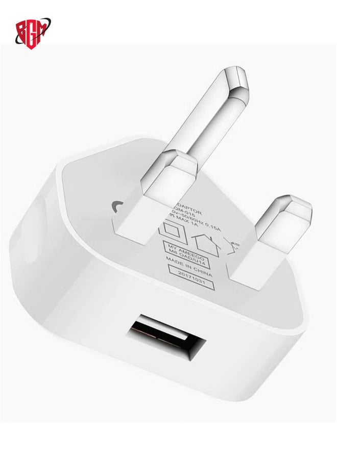 BGM - 5V 1A USB Charger Cable and Plug Compatible for Apple iPhone 5S/6/6S/6 Plus/6S Plus/7/7 Plus/8/8 Plus/XS/X/XS Max/11/XR/iPod Touch 5G Power Cord - Image 1