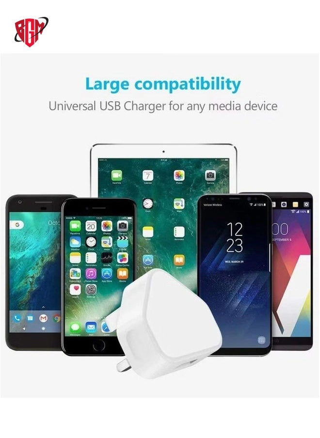 BGM - 5V 1A USB Charger Cable and Plug Compatible for Apple iPhone 5S/6/6S/6 Plus/6S Plus/7/7 Plus/8/8 Plus/XS/X/XS Max/11/XR/iPod Touch 5G Power Cord - Image 1