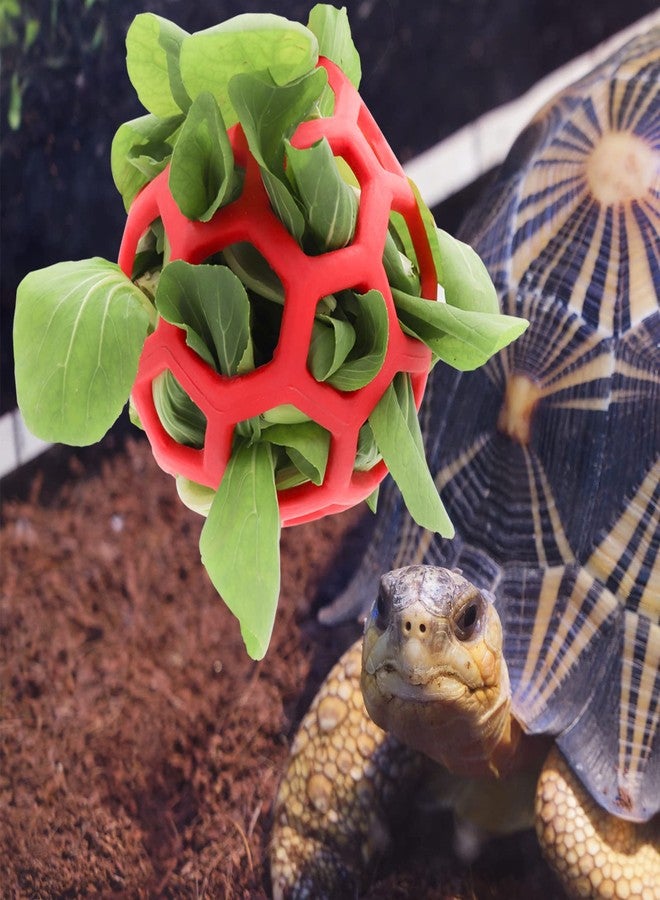 Tirifer Tortoise Treat Ball Toy Hay Feeder Ball Hanging Feeding Grass Ball Fruit Vegetable Feeder Holder Foraging Toy for Small Animals Pet Tortoise Turtle - Image 2