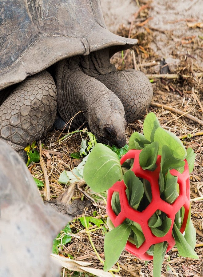 Tirifer Tortoise Treat Ball Toy Hay Feeder Ball Hanging Feeding Grass Ball Fruit Vegetable Feeder Holder Foraging Toy for Small Animals Pet Tortoise Turtle - Image 4
