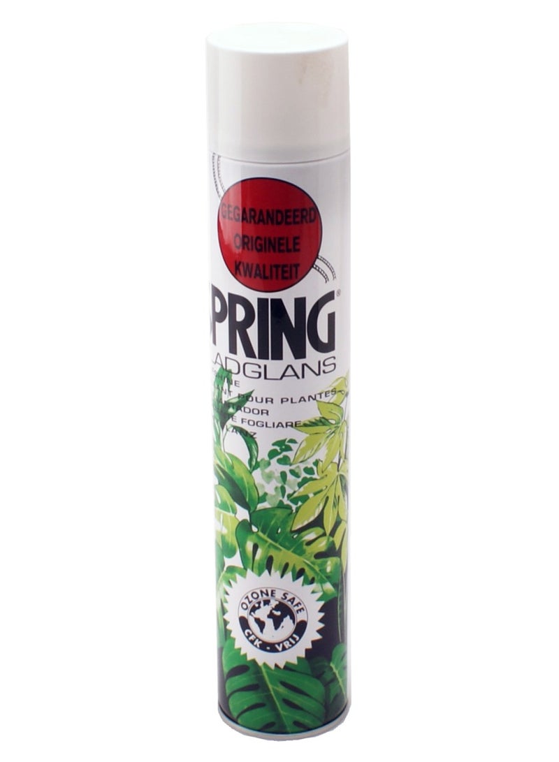 Spring Leaf Shining Spray 600ml For Indoor and Outdoor Plants - Image 2