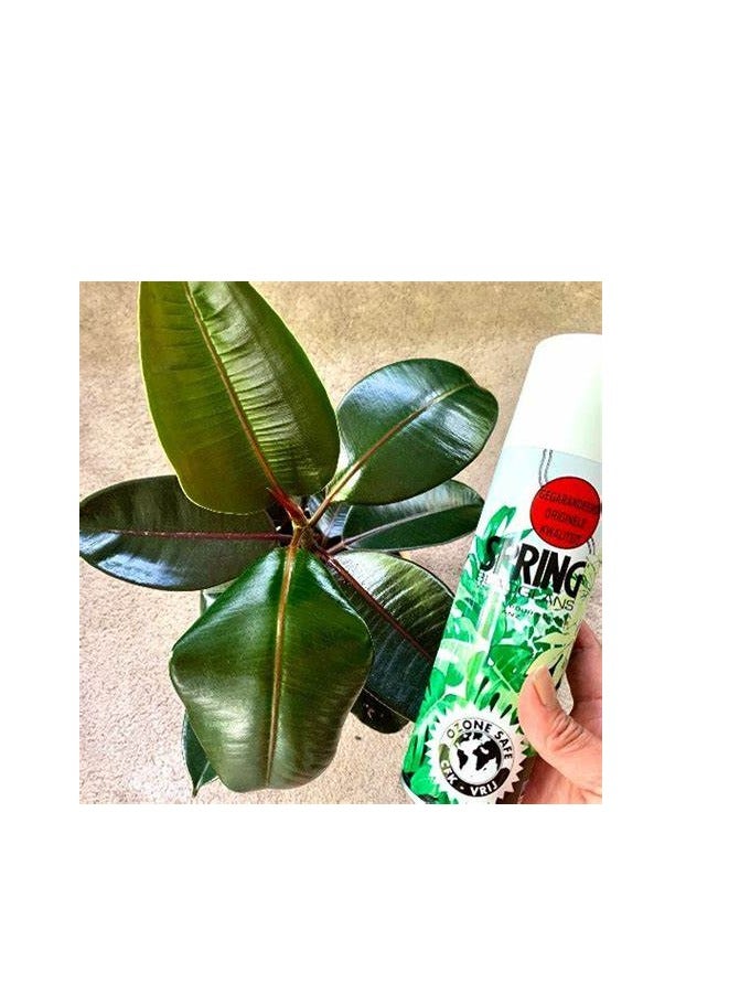 Spring Leaf Shining Spray 600ml For Indoor and Outdoor Plants - Image 3