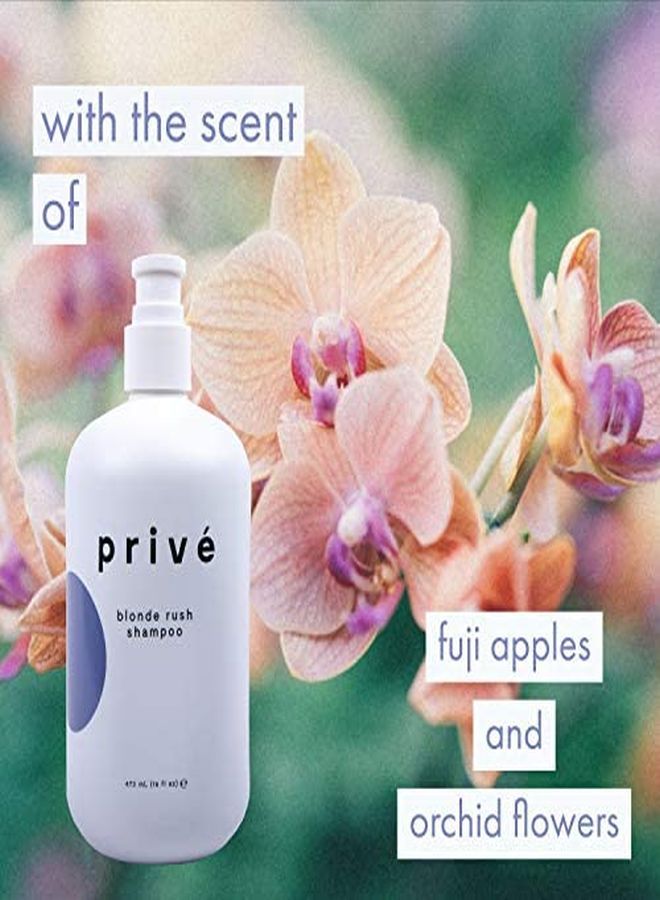 PRIVE Privé Blonde Rush Shampoo Purple Shampoo For Blonde Hair No Yellow, Brass Off, Damage Repair, For Natural Highlighted Bleached Blondes Smoothing Toning Blue Shampoo For Brassy Hair (16 Oz)  - Image 3