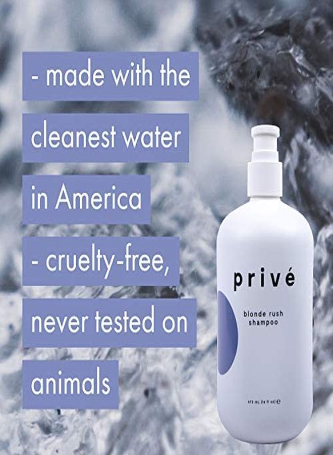 PRIVE Privé Blonde Rush Shampoo Purple Shampoo For Blonde Hair No Yellow, Brass Off, Damage Repair, For Natural Highlighted Bleached Blondes Smoothing Toning Blue Shampoo For Brassy Hair (16 Oz)  - Image 4