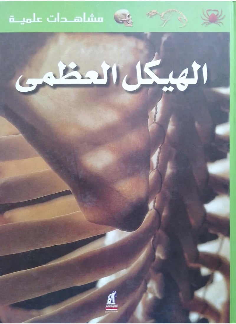 مشاهدات علمية – الهيكل العظمي (مجلد)  - Image 1
