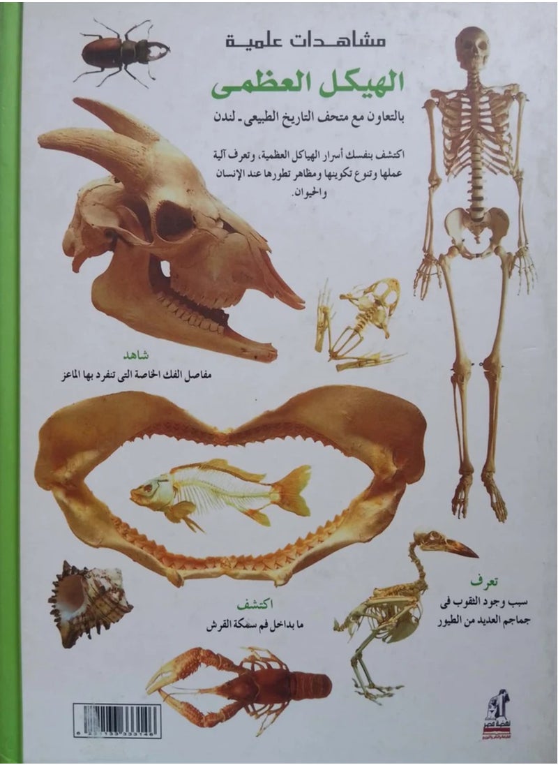 مشاهدات علمية – الهيكل العظمي (مجلد)  - Image 2