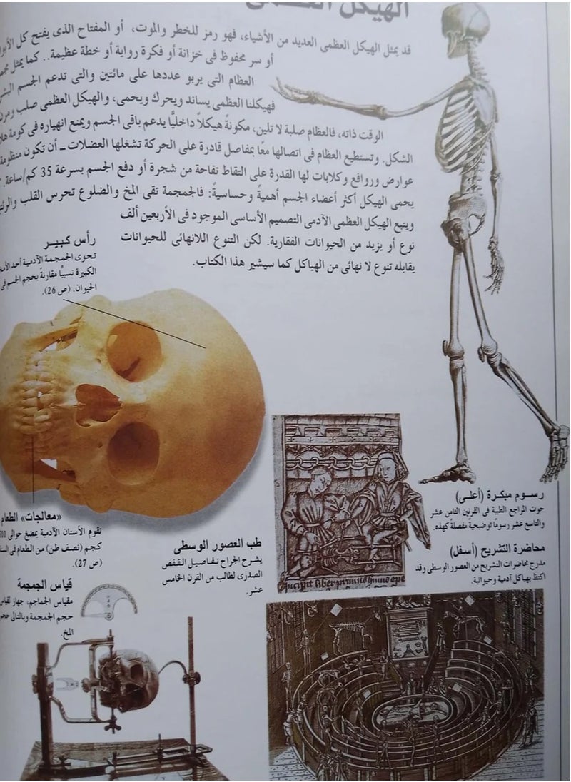 مشاهدات علمية – الهيكل العظمي (مجلد)  - Image 3