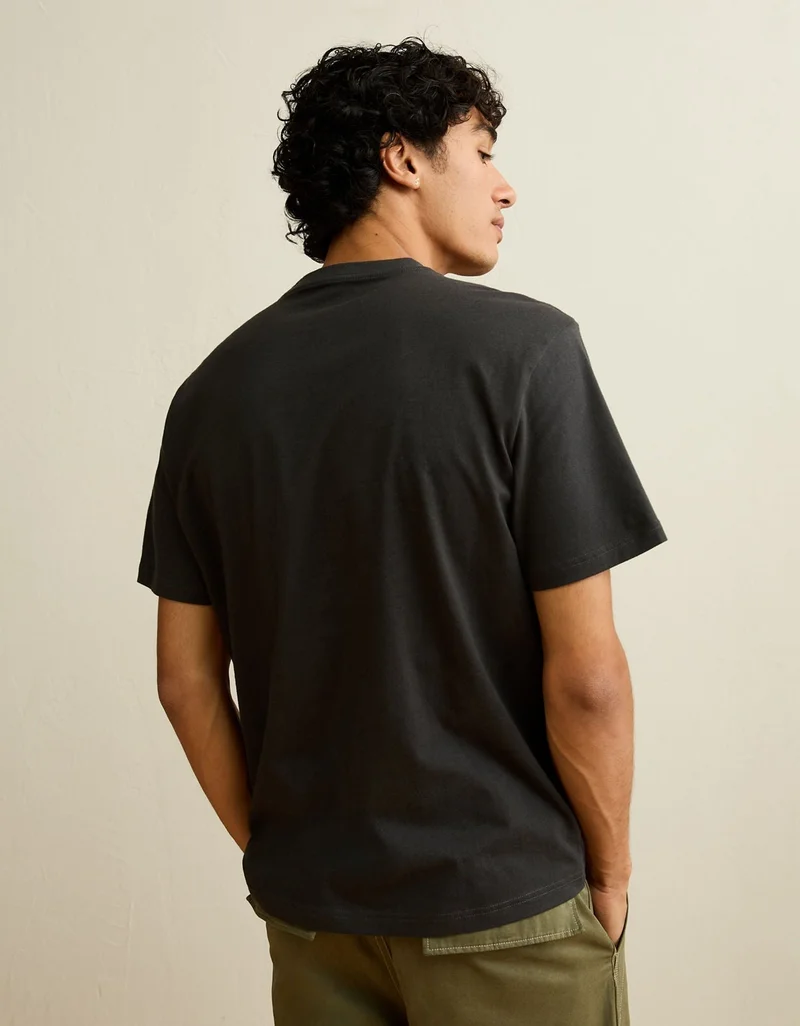 American Eagle AE Standard Fit Graphic Logo T-Shirt
