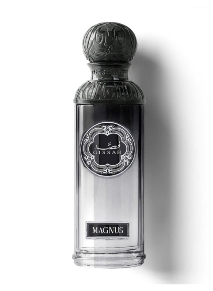 قصة طقم عطور قصة Titan Him للرجال – 2 × 90 مل (ماغنوس & ماكسيموس) - Image 4