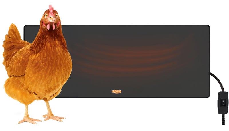 Cozy Products Cozy Coop, Chicken Coop Heater, Flat-Panel Radiant Heater with Thermal Protector, Energy-Efficient, Easy to Install, Ideal for Small Animals, 200 Watts, Black