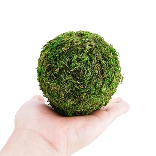 BYHER Decorative Moss Balls Set - Fake Moss Balls for Bowl Fillers, Centerpiece Decor, Home Decor, Vase Filler, Wedding Decor, Table Arrangement, Coffee Accents, DIY Crafts (Extra Large - 4"-Set of 6) - Image 2