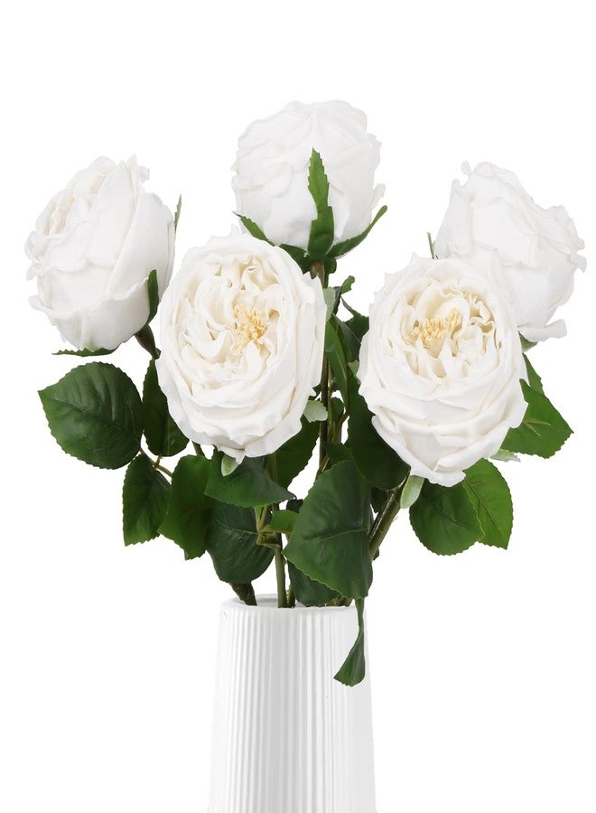 IPOPU White Roses Artificial Flowers,5PCS Real Touch Austin Roses Faux Peony Flowers Stems for Wedding Bouquet Party Home Decor(White) - Image 1