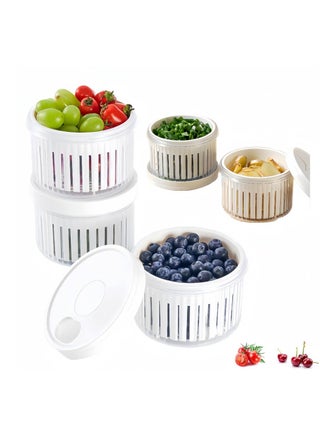 Berry Keeper Container, 3Pack Fruit Storage Containers for Fridge with Lids, Fruit Produce Saver with Removable Strainer Basket, Scallion Storage Box, Fresh Keeper for Scallion Ginger Garlic - pzsku/Z453DAC32D474A1EEF600Z/45/_/1719340432/58b95f30-7853-45db-b8c0-d0b372bd8c1c