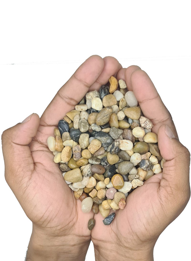 كيس من صخور نهر بيبل المزخرفة الطبيعية - Image 1