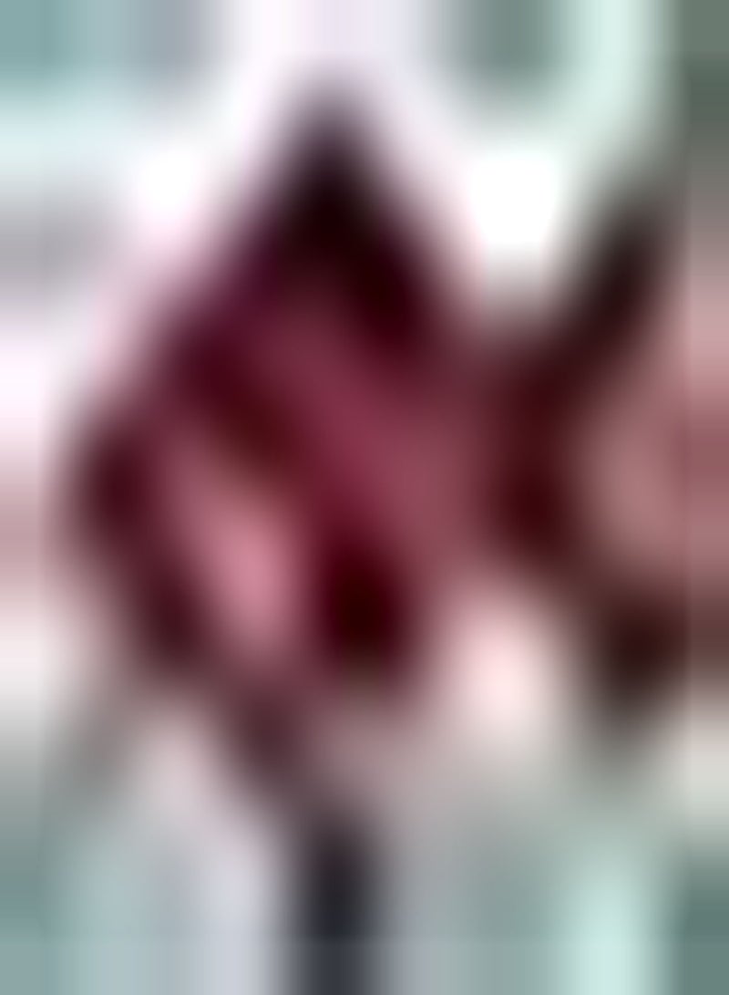 GGOOT 2 rote Amaryllis Zwiebeln Einfach zu pflanzen Amaryllis Blüten jedes Jahr an einem sonnigen Ort gepflanzt frische Schnittblumen breites Anwendungsspektrum von Menschen geliebt - Image 2