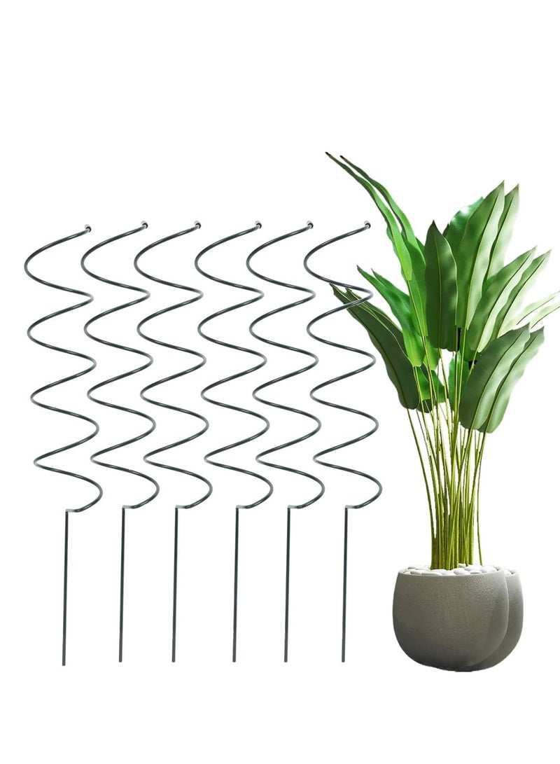 Generic 6pcs Plant Support Stake Kit Spiral Cages Climbing Tower Metal Garden Supports Frame for Tomato Rose Vine for Indoor and Outdoor Potted  - Image 1