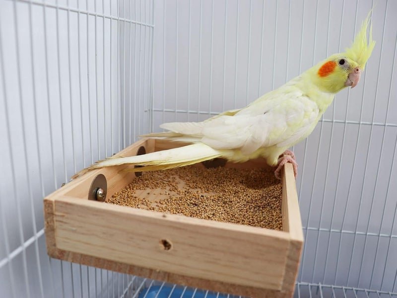 BIRDSHALA Bird Parrot Wooden Feeder, Natural Wooden Parrot Bird Perch Stand, Birds Food Dish, Bird Cage Food Standing Feeding Perch Bowl Toy for Small Animal Parrot, Rat, Parakeet, Budgies, Love Birds - Image 4