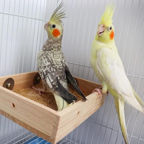 BIRDSHALA Bird Parrot Wooden Feeder, Natural Wooden Parrot Bird Perch Stand, Birds Food Dish, Bird Cage Food Standing Feeding Perch Bowl Toy for Small Animal Parrot, Rat, Parakeet, Budgies, Love Birds - Image 2