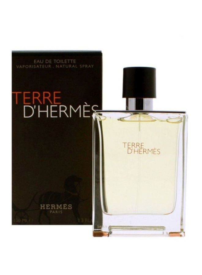 HERMES Terre D'Hermes EDT 100ml - Image 2