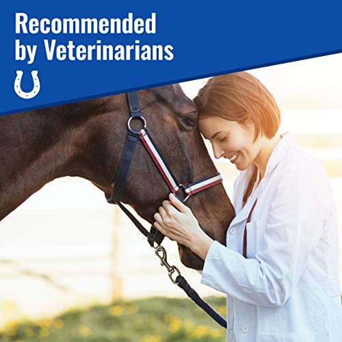 mushroom Matrix Om Mushroom Matrix - Equine | Wellbeing | USA Grown Human-Grade Organic Mushroom Powder Show Safe Horse Supplement | Wellness, Recovery, & Senior Support | 300 Grams, 10.5 oz - Image 4