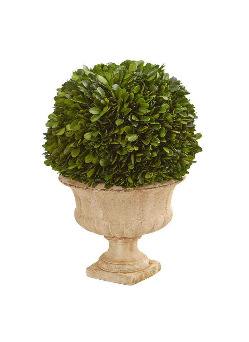 Nearly Natural Nearly Natural 12in Boxwood Topiary Ball Preserved Plant in Decorative Urn 