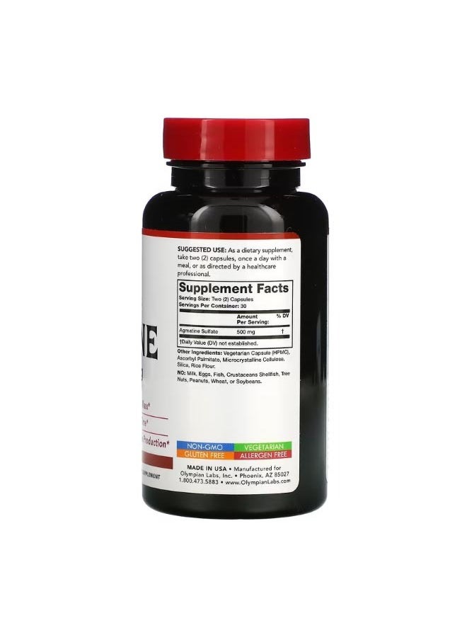 Olympian Labs Agmatine 500 mg 60 Vegetarian Capsules 250 mg per Capsule  - Image 2