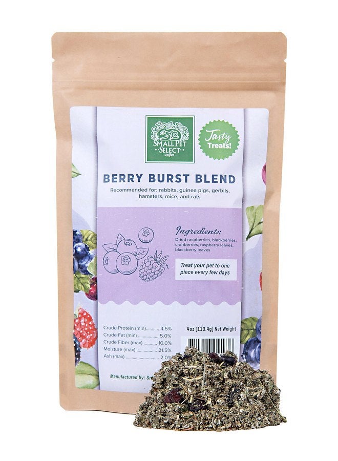 Small Pet Select - Berry Burst Blend, a Natural Treat for Rabbits, Guinea Pigs, Gerbils, Hamsters, Mice, and Rats, 4oz - Image 1