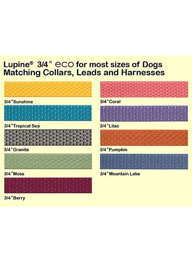 لوبين طوق LupinePet Eco 3/4" Mountain Lake قابل للتعديل من 13 إلى 22 بوصة للكلاب المتوسطة والكبيرة - Image 3