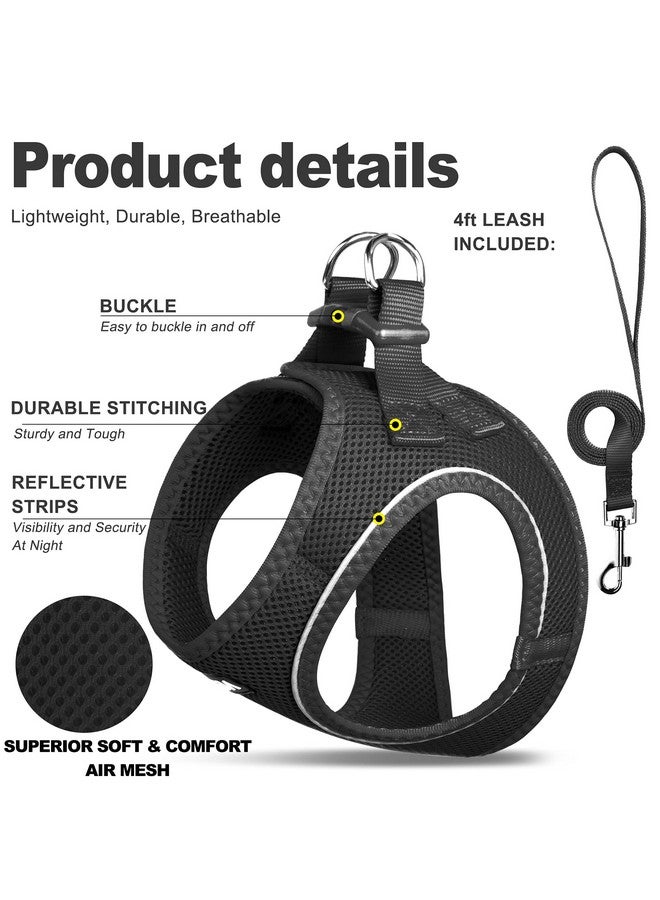 فيدا طقم حزام ومقود للقطط من فيدا للمشي مع القطط الصغيرة والجراء، حزام مقاوم للهروب للقطط مع شبكة ناعمة خفيفة الوزن وجيدة التهوية، تصميم عاكس قابل للتعديل للقطط الصغيرة والجراء. (XXXS، أسود) - Image 2