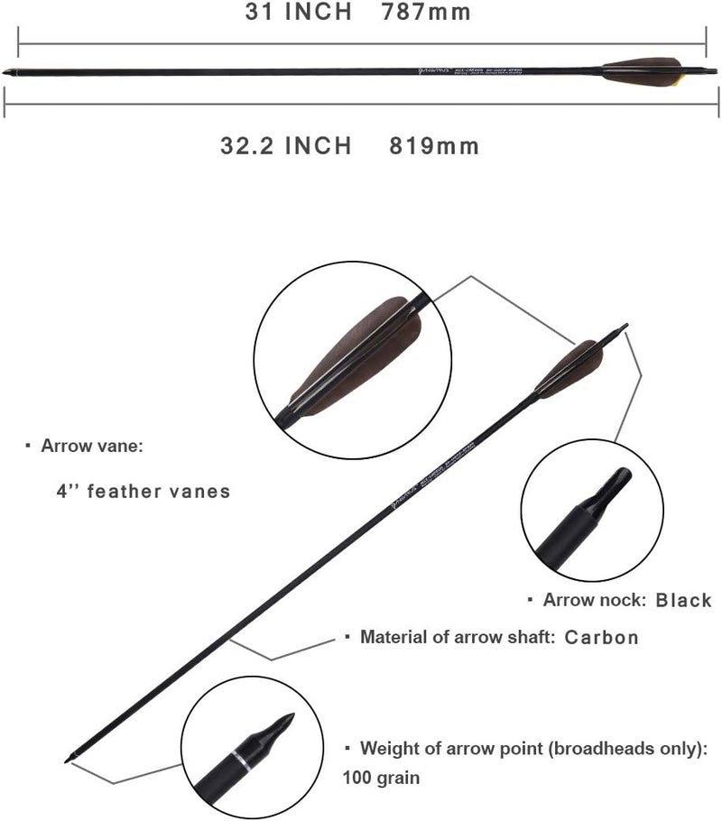 PANDARUS Archery 31-Inch Carbon Hunting Arrows, Turkey Feather Fletching with Replaceable Points, Targeting Practice Arrows Spine 500 for Recurve Bow, Longbow, Traditional Bow - Image 3