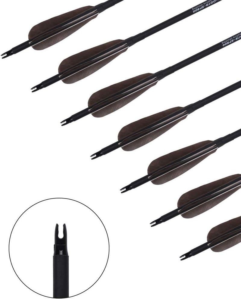 PANDARUS Archery 31-Inch Carbon Hunting Arrows, Turkey Feather Fletching with Replaceable Points, Targeting Practice Arrows Spine 500 for Recurve Bow, Longbow, Traditional Bow - Image 2