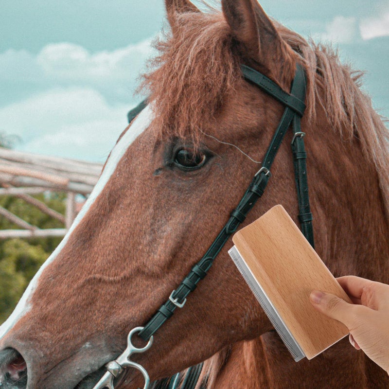 Large 12 5cm Wooden Horse Grooming Brush and Hair Remover Comb for Shedding Cleaning - Image 4