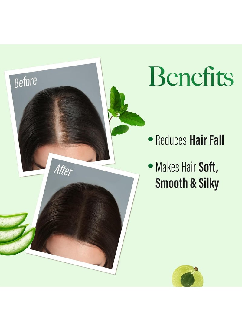 Kesh King Anti Hairfall Shampoo  with Ayurvedic Herbs & Aloe Vera Provides Healthy Nourished Scalp  for Shiny Smooth Hair 340ml - Image 3