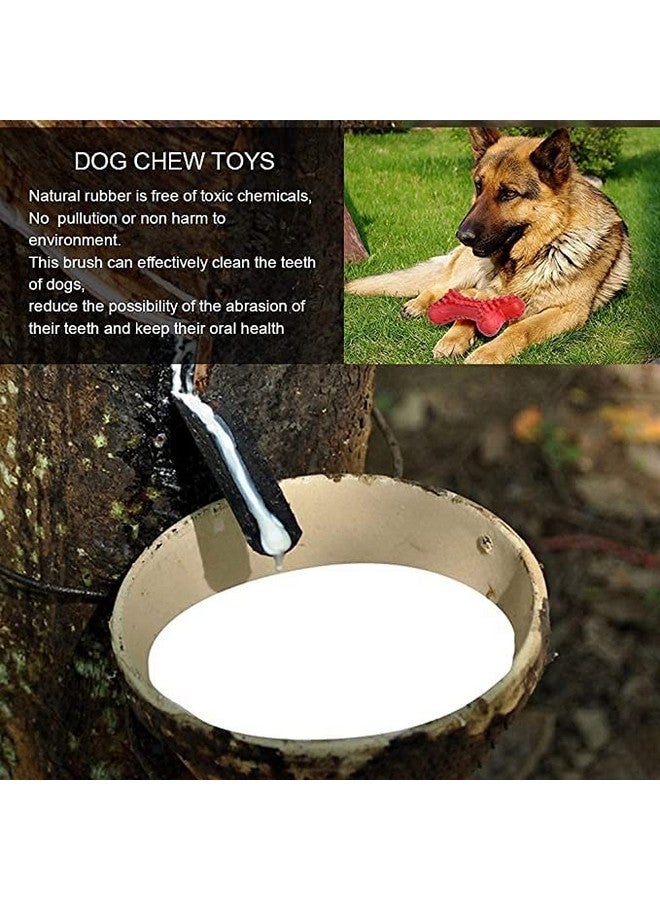 Doggy Chewing Aggressive Pet Tooth Biting Anti-Bite Molar Puppy Toothbrush, Tough Teething Toy For Small, Medium And Large Dogs - Image 4
