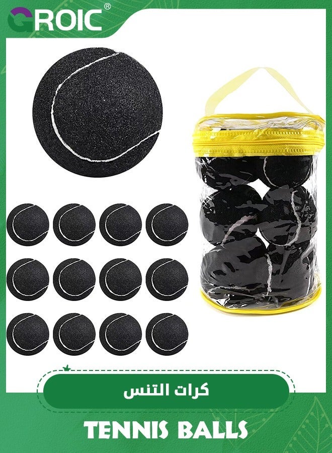 GROIC 12 Pack Tennis Balls, Durable Pressurized Balls Black Felt Training High Bounce Practice Professional for Beginners or Pets - Image 1