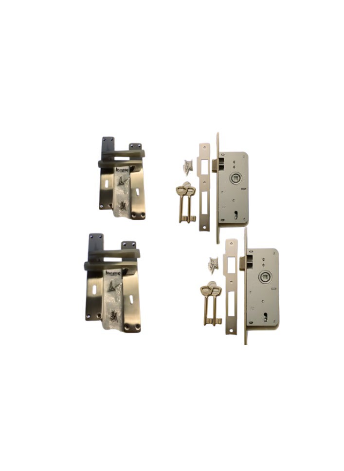 Compartment 2 set of AlAhram matt nickel chamber ball with 2 callon AlAhram chamberhandle  - Image 1