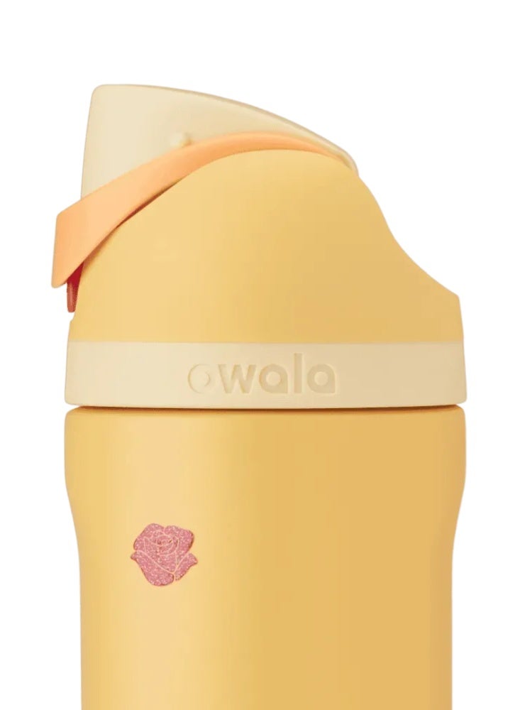 أميرة أوالا ديزني سندريلا 24 أوز زجاجة مياه فريسب من الفولاذ المقاوم للصدأ نيو - Image 3