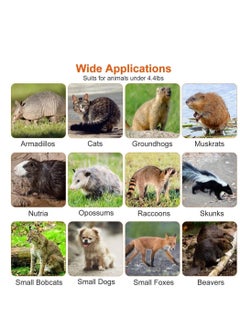 0TO1 TECH Large Live Animal Trap Cage, Small Animal Trap for Humane Catch & Release Foldable Cage, Durable Cat Trap Cage for Bobcat Squirrel Stray Cats Gopher Skunk Raccoon(95 * 34 * 32cm)  - Image 3
