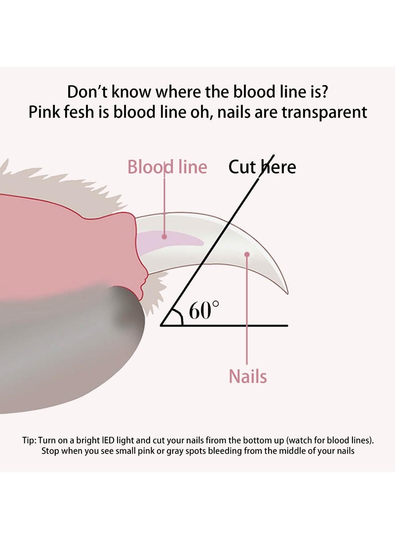 أدى المهنية الكلب والقط مسمار المقص - الحيوانات الصغيرة سلامة المقص - جرو هريرة - أرنب الطيور - تجنب الإفراط في قطع ( الأزرق ) - Image 5