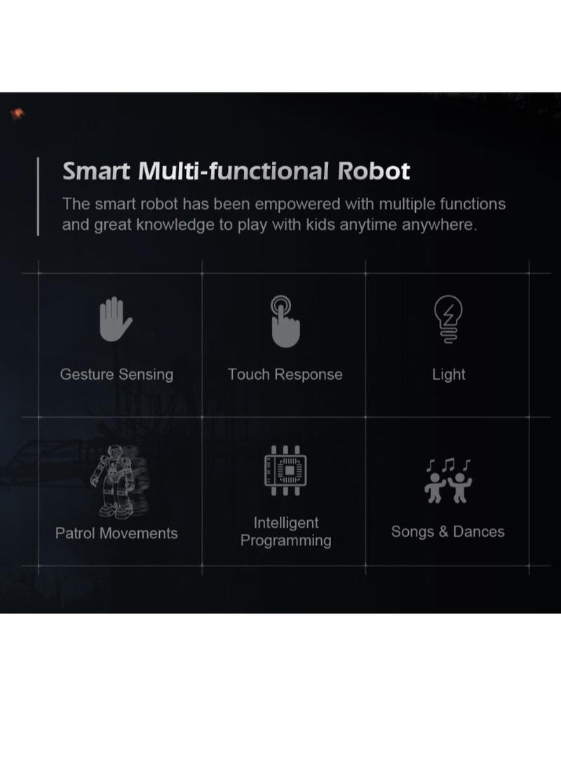 Excellent Appearance Remote Controlled Programmable Gesture Sensor Robot Rc Toy R11 27.5x16x9cm