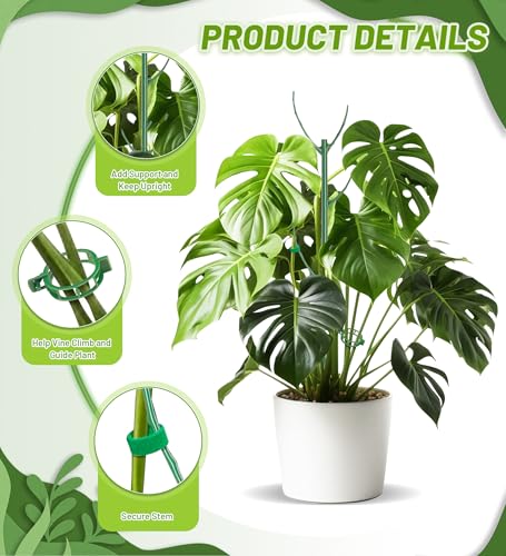 HOMEBROS Plant Support Stakes, 6 Pcs Stackable Plant Support Poles with 20 Clips, 1 Roll Tie for Indoor Outdoor Monstera Climbing Plants, Green - Image 4