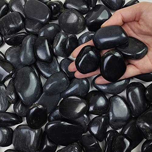 FANTIAN 5 lbs Polished Black River Rocks, 1-2 Inch Decorative Pebbles for Indoor Plants. Black Stones for Planters, Vase, Garden Landscape and Outdoor Decorative Stones - Image 1