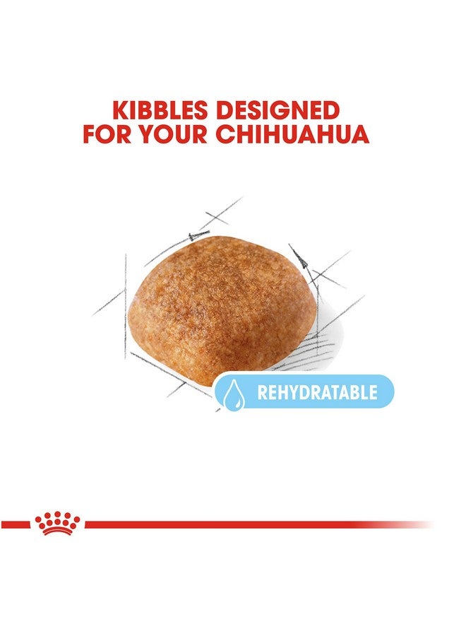 رويال كانين طعام جاف رويال كانين تشيهواهوا أدلت 8+ للكلاب المسنة، كيس 2.5 رطل - Image 2