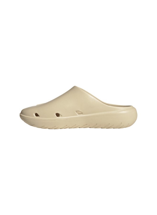 Adidas - ADICANE CLOG - Image 1