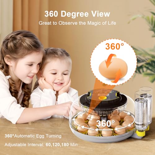 IBKINXX Incubator for Hatching Eggs-18 Egg Capacity, Newly Upgraded Automatic Egg Turner, Temperature & Humidity Control, 360° Viewing for Chicken, Duck and Quail Eggs (Black) - Image 4