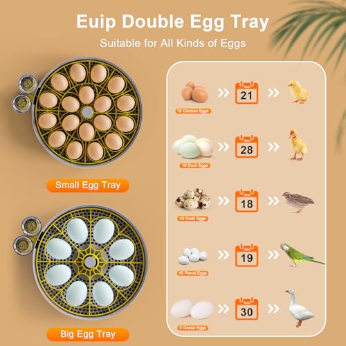 IBKINXX Incubator for Hatching Eggs-18 Egg Capacity, Newly Upgraded Automatic Egg Turner, Temperature & Humidity Control, 360° Viewing for Chicken, Duck and Quail Eggs (Black) - Image 5